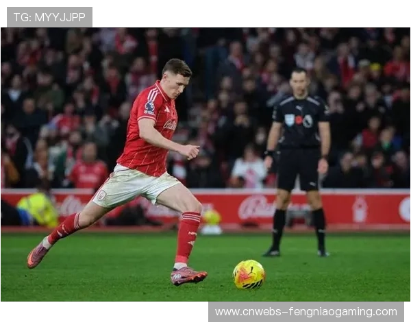 切尔西瞄准诺丁汉森林中场安德森，转会费或达8000万镑