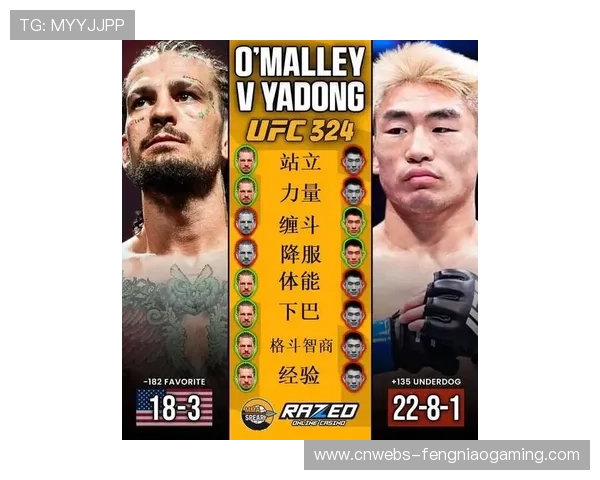 宋亚东对阵奥马利比赛数据公布,打击数与控制时间成关键